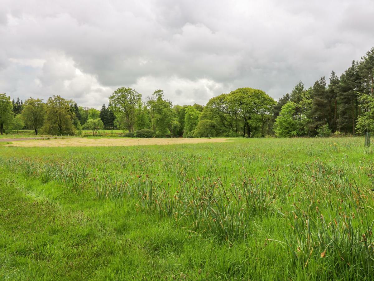 Gate Lodge West Calder 외부 사진